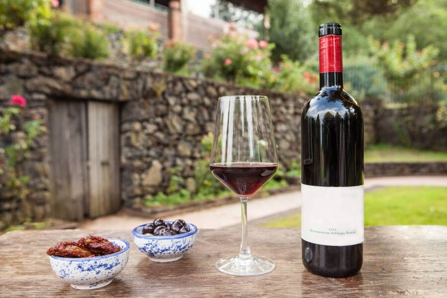 From Catania/Taormina: Mount Etna Private Wine Tasting Tour - Zafferana Etnea and the volcanic setting