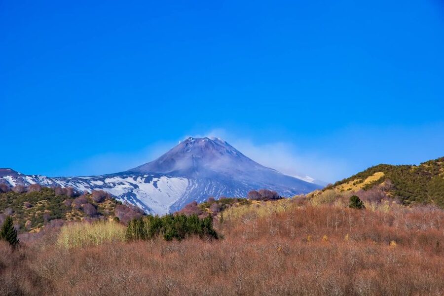 From Catania/Taormina: Mount Etna Private Wine Tasting Tour - Vineyard production and the taste of Etna