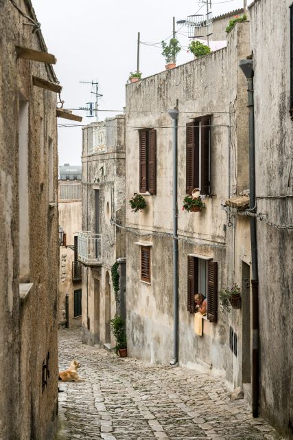 From Palermo: Day Trip to Erice, Segesta and Salt Pans - Segesta’s ancient temple and theater