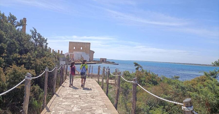 From Siracusa: Vendicari Nature Reserve Guided Tour - The 45-minute ride from Piazza Pantheon