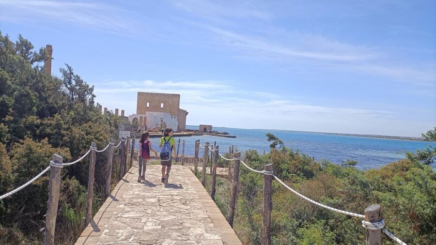 From Siracusa: Vendicari Nature Reserve Guided Tour - An easy path through dunes and coastal plants