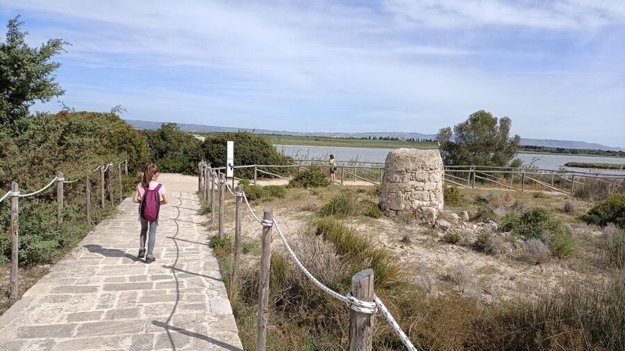 From Siracusa: Vendicari Nature Reserve Guided Tour - The beach stop and clear-water swim