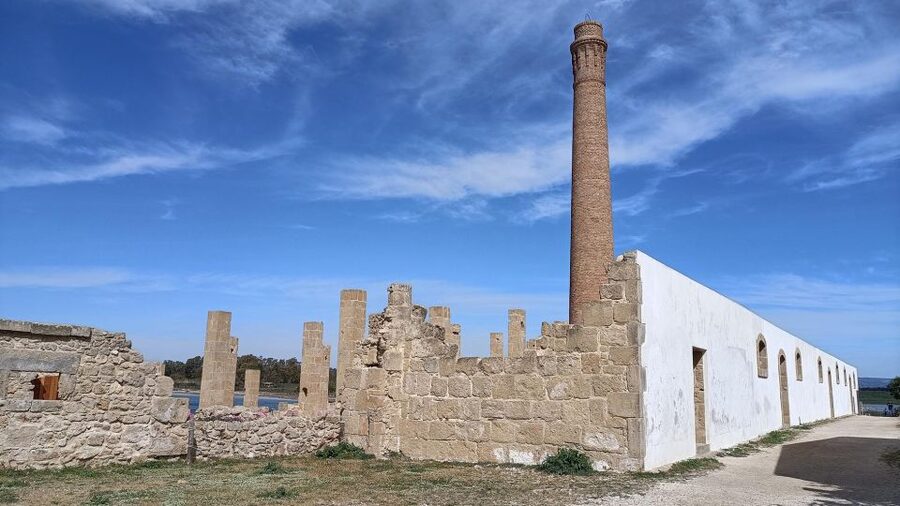 From Siracusa: Vendicari Nature Reserve Guided Tour - Who will enjoy this four-hour outing most