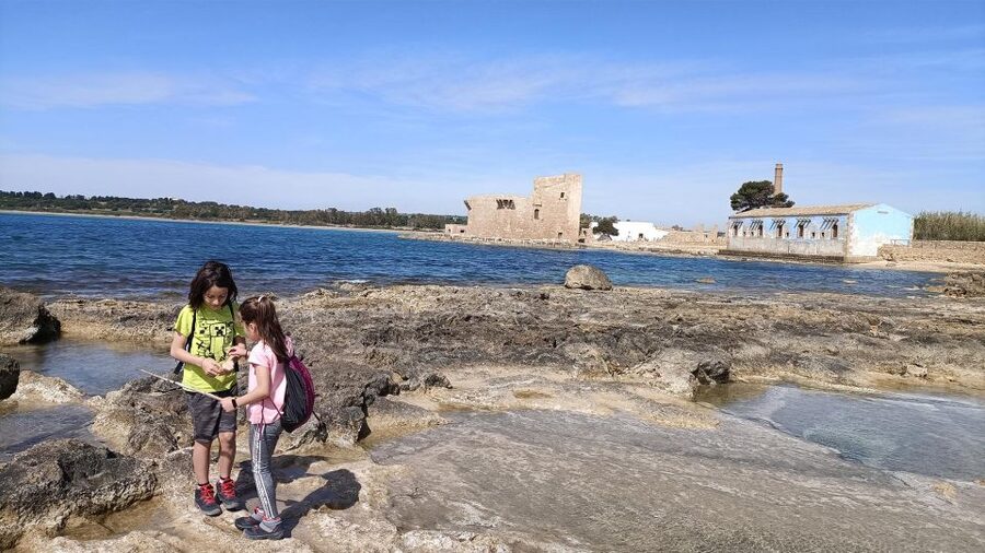 From Siracusa: Vendicari Nature Reserve Guided Tour - Birdwatching across Vendicari’s wetlands