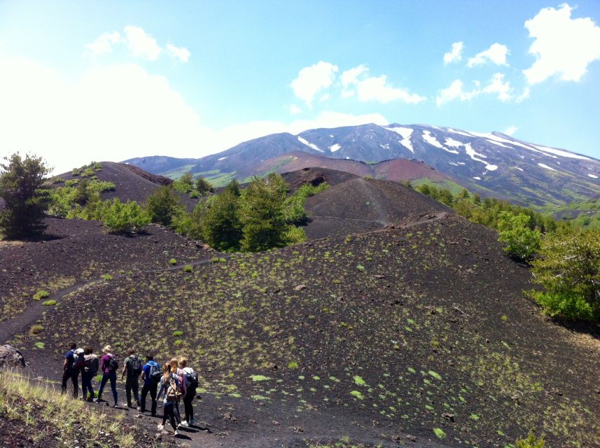 From Syracuse: Etna Tour with Light Lunch and Wine Tasting - Key points at a glance