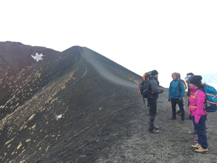 From Syracuse: Etna Tour with Light Lunch and Wine Tasting - Walking across Etna’s southern slope