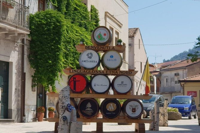 From Syracuse: Private Tour Mount Etna with Lunch at Etna Winery - Who should book this Mount Etna tour?