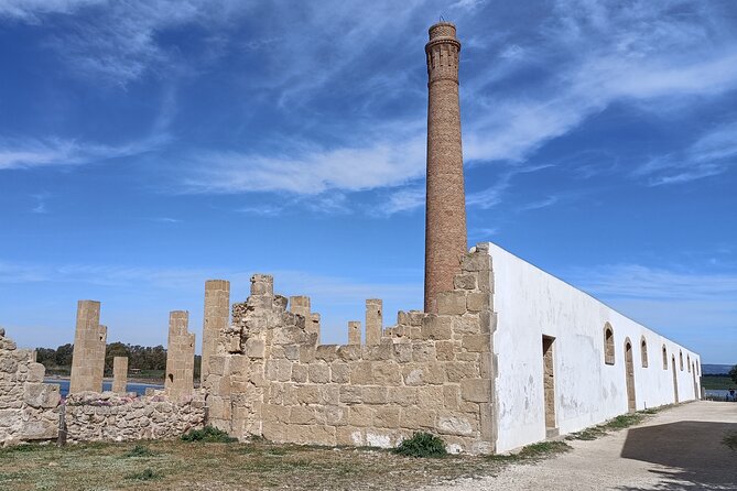 From Syracuse: Vendicari natural reserve - PRIVATE - Is the Vendicari Private Tour Worth Booking?