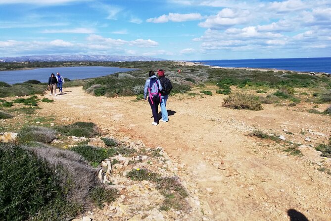 From Syracuse: Vendicari natural reserve - PRIVATE - Three Hours Among Vendicari’s Birds and Plants