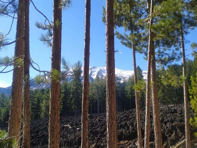 From Taormina: Etna Walking Tour and Wine Tasting in Winery - Etna begins with the road from Taormina