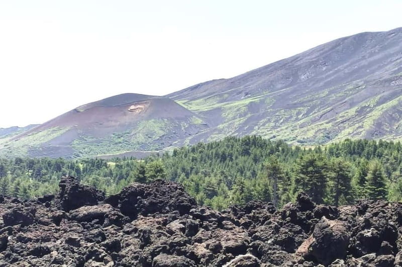 From Taormina: Etna Walking Tour and Wine Tasting in Winery - Lava flows and the short tunnel visit
