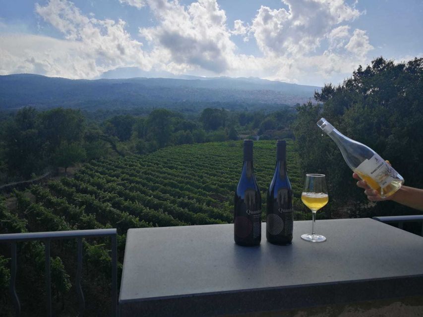 From Taormina: Etna Wineries Small Group Tour - Why Etna wine country makes a good day from Taormina