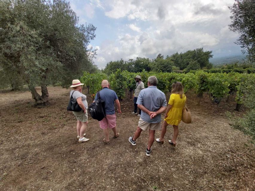 From Taormina: Etna Wineries Small Group Tour - Booking details worth knowing before you go
