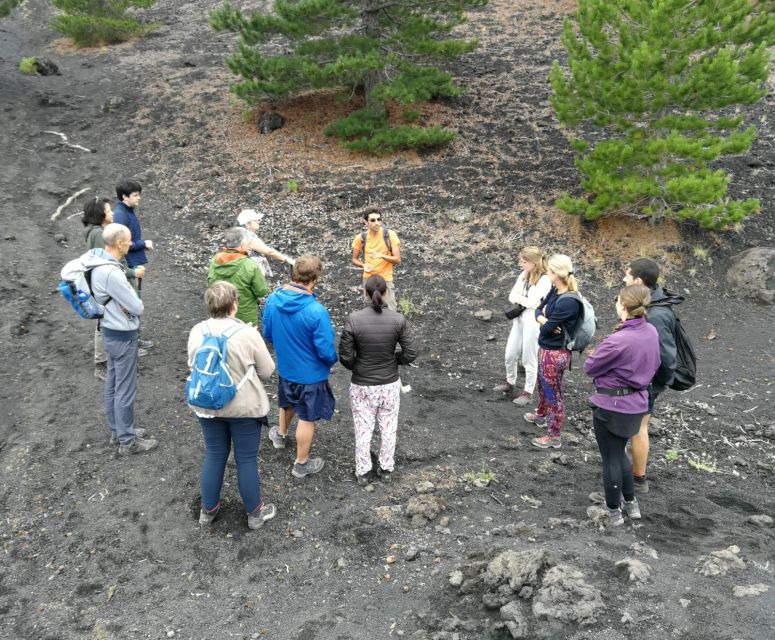 From Taormina: Full-Day Etna, Wine & Alcantara Canyons Tour - Key points at a glance