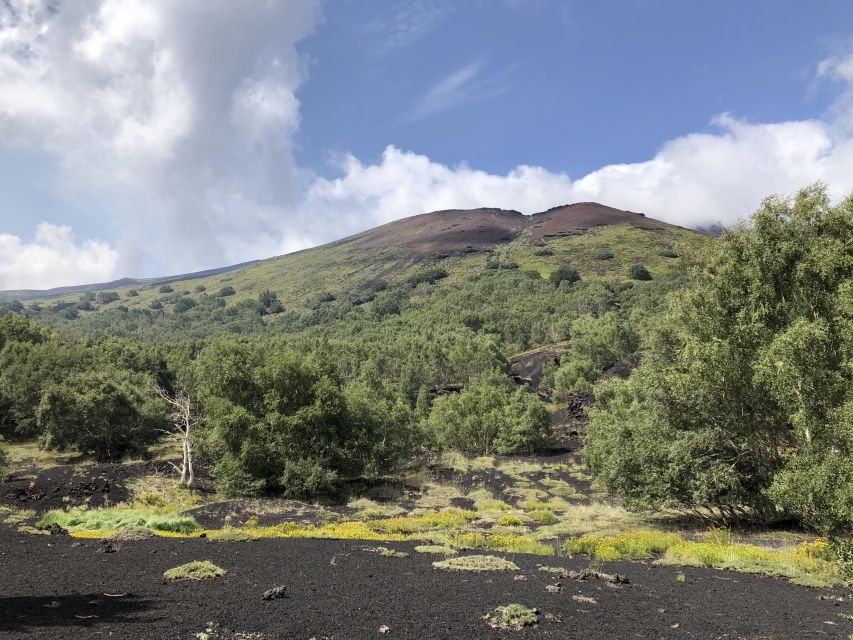 From Taormina: Full-Day Etna, Wine & Alcantara Canyons Tour - A winery lunch that earns its place in the day
