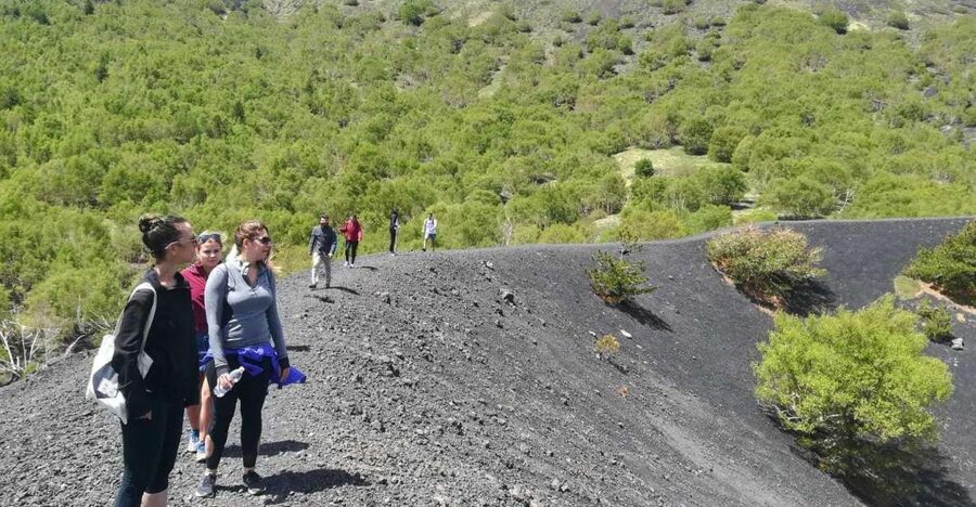From Taormina: Half-Day Mount Etna Morning Trek - Walking the extinct craters at 2,000 meters