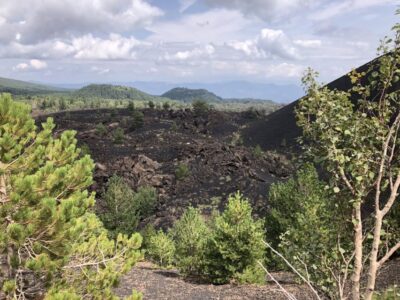 Half-Day Mount Etna Morning Trek