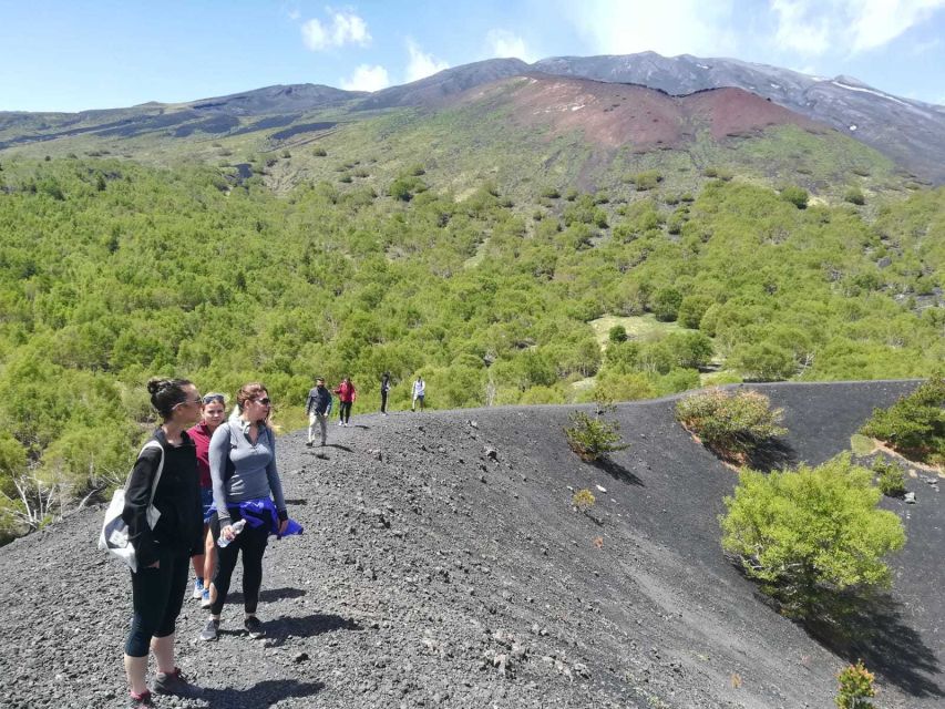 From Taormina: Half-Day Mount Etna Morning Trek - Weather on Etna can change the whole outing
