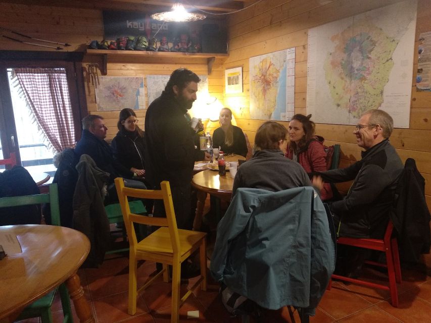 From Taormina: Half-Day Mount Etna Morning Trek - Group size, pace, and who will enjoy it