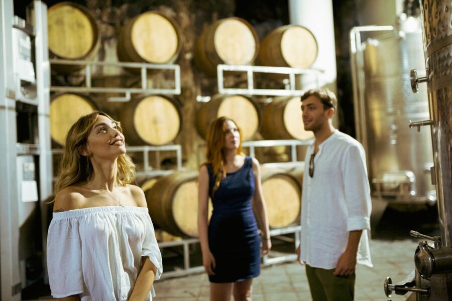 From Taormina: Mount Etna Food and Wine Tasting Tour - Who should book this Etna food tour?