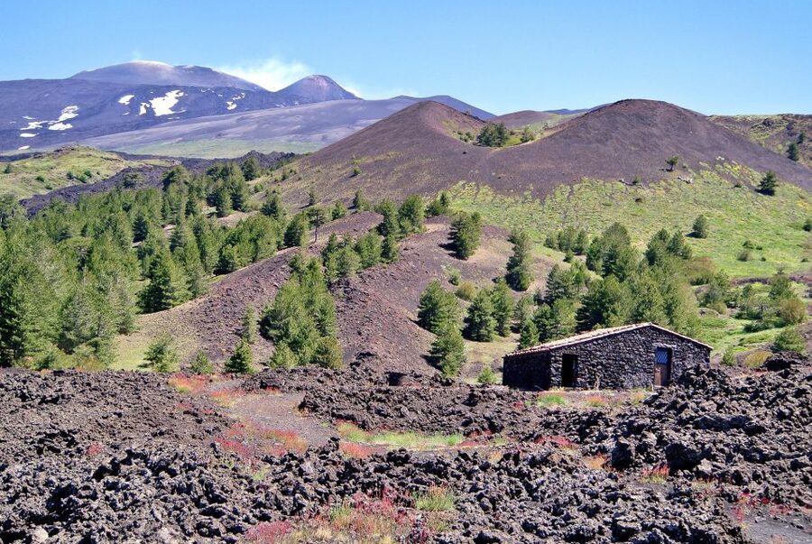From Taormina: Mount Etna Guided Bus Tour - From Taormina’s coast to Etna’s upper slopes