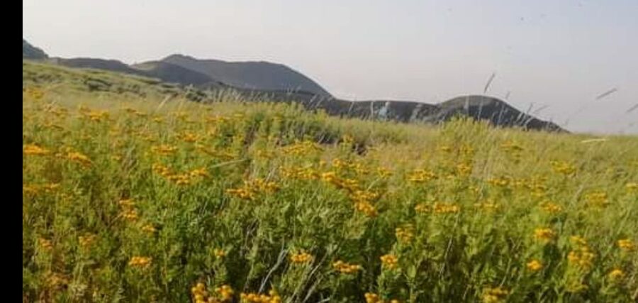 From Taormina, Naxos, & Letojanni: Mount Etna Half-Day Trip - From Taormina to Etna’s Black Slopes