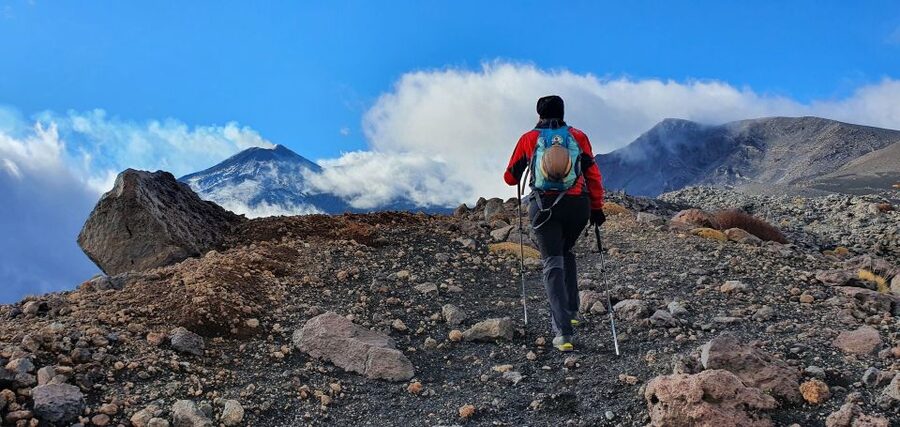 From Taormina or Catania: Private Full-Day Mount Etna Hike - Key points to know before booking