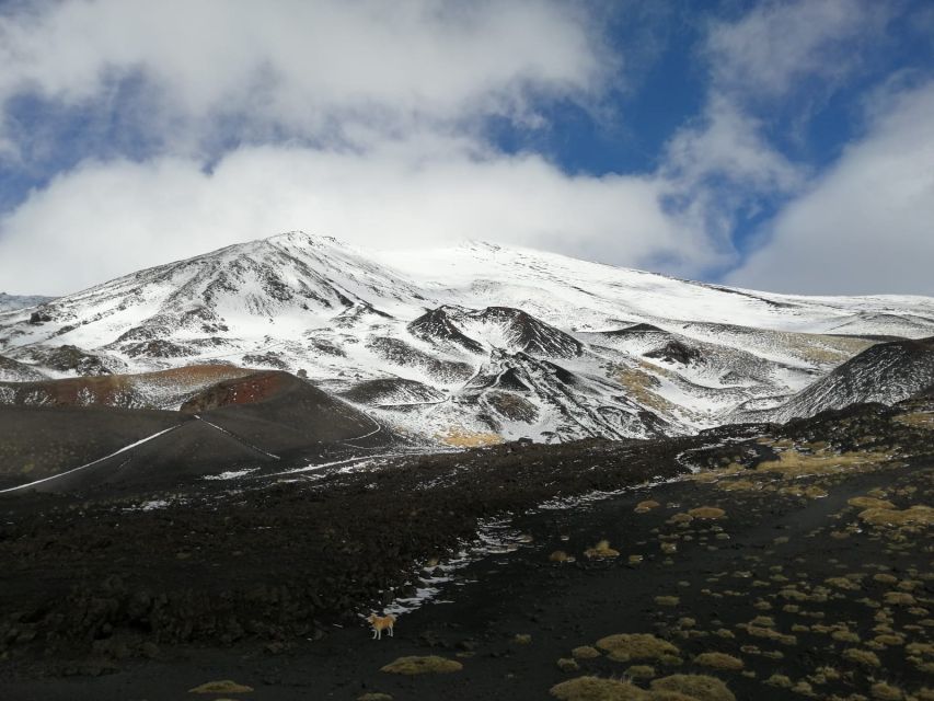 From Taormina or Catania: Private Full-Day Mount Etna Hike - Five hours on Etna’s volcanic trails