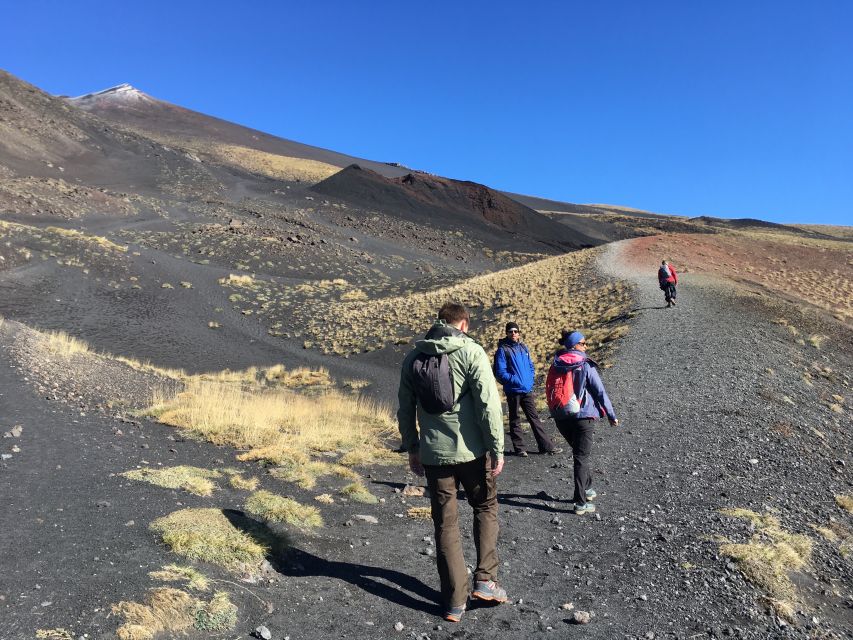 From Taormina or Catania: Private Full-Day Mount Etna Hike - Lava fields, extinct craters, and old eruption scars