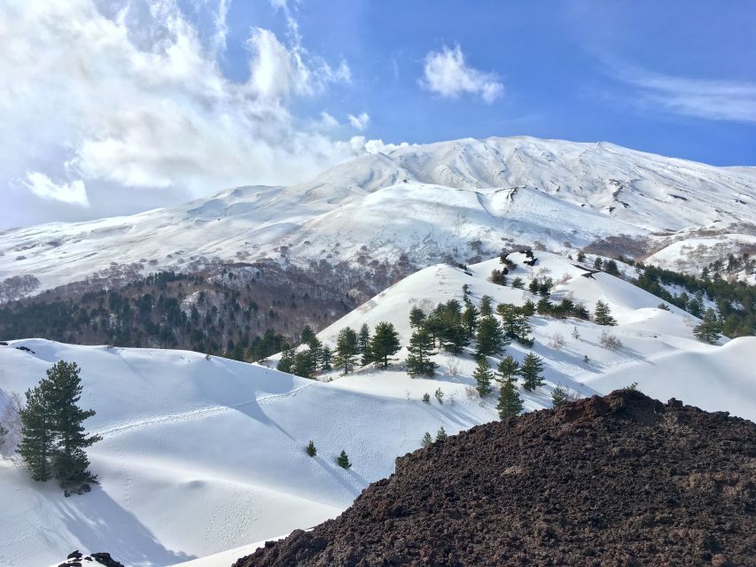 From Taormina or Catania: Private Full-Day Mount Etna Hike - What lunch includes, and what it does not