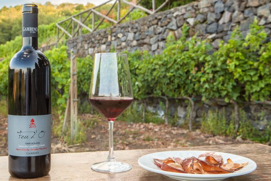 From Taormina: Private 3 Etna Wineries with Food & Wine - First stop: three Etna DOC wines and homemade bruschetta