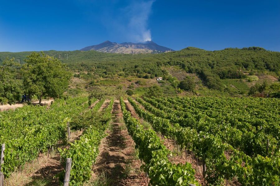 From Taormina: Private 3 Etna Wineries with Food & Wine - Second stop: four wines, a tagliere, and Sicilian pasta