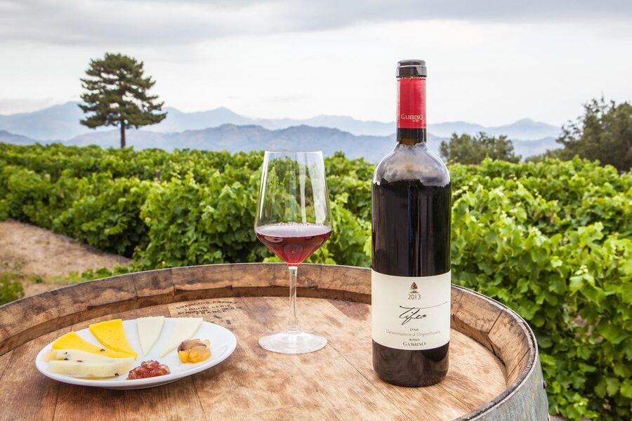 From Taormina: Private 3 Etna Wineries with Food & Wine - A private car makes the winery day easy