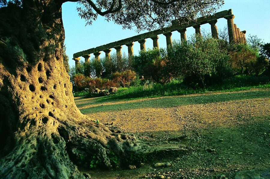 From Taormina: Valley of The Temples & Piazza Armerina Tour - Walking, Heat, and Who Should Skip It
