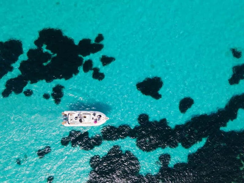 From Trapani: Egadi Islands Favignana & Levanzo Cruise - Key points to know before booking