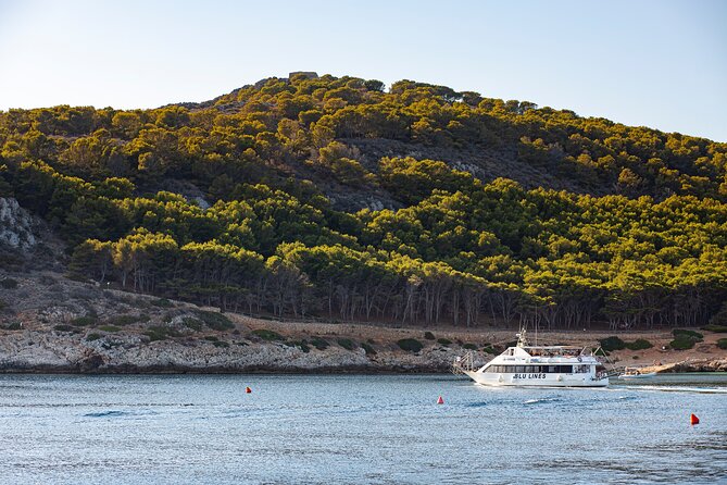 From Trapani: Egadi Islands tour with lunch on board - What the $54.31 price really covers
