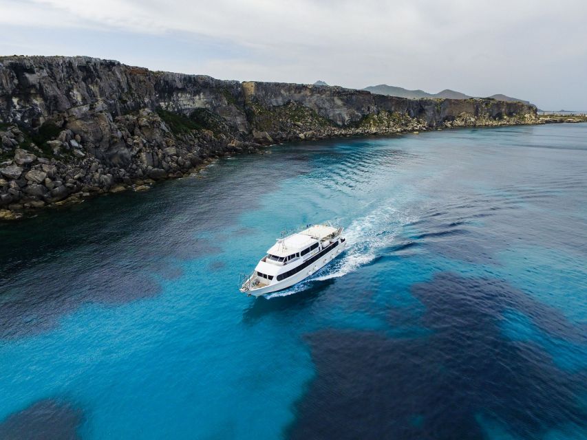 From Trapani: Favignana and Levanzo Motorboat Cruise - Cala Rossa and Cala Azzurra from the water