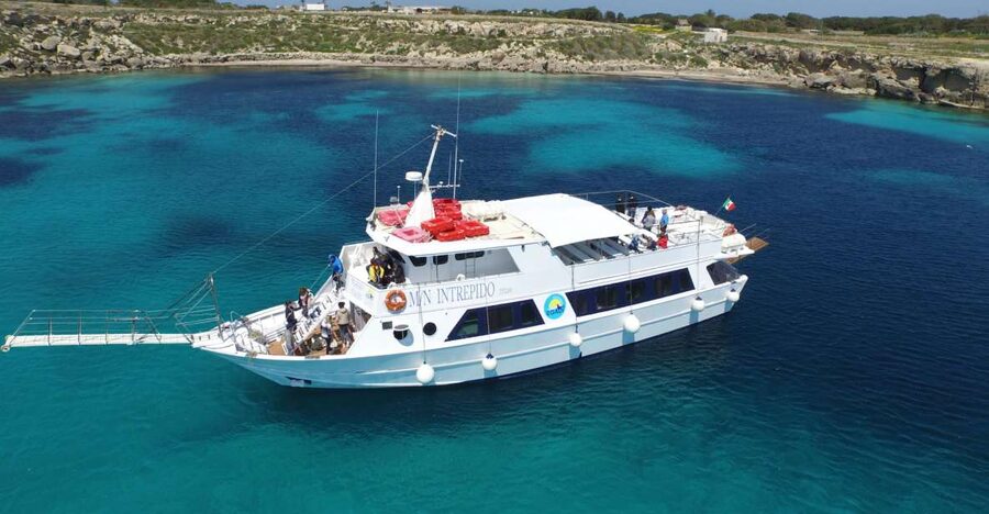 From Trapani: Full-Day Cruise to Favignana and Levanzo - The main practical concern: finding the right departure point