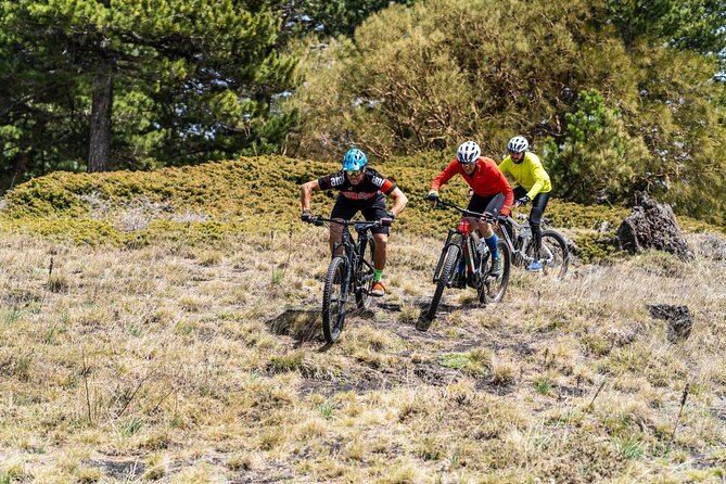 Full circuit of Etna by MTB small group - The Altomontana path and Etna Natural Park