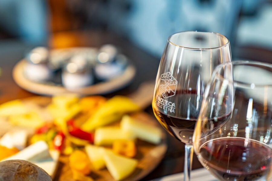 Full-Day Etna and Wine Tour from Catania - Who should book this Etna and wine tour?