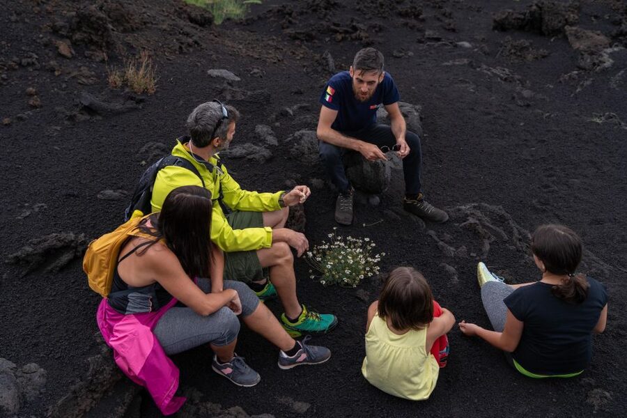 Full-Day Etna and Wine Tour from Catania - The optional cable car and 4x4 ride