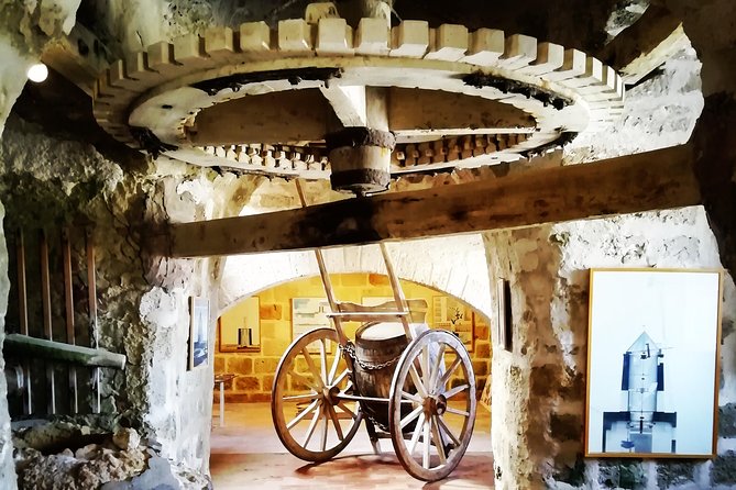 Full Day Exclusive Excursion to Segesta, Erice & Trapani Salt Flats from Palermo - Who should book this day