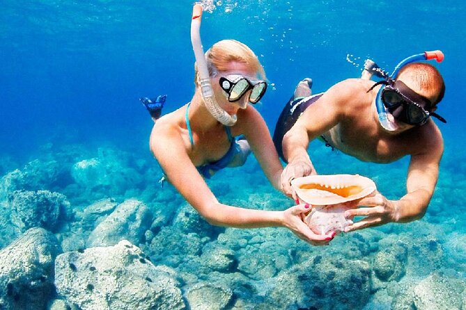 Full Day on board with lunch in luxury private tour - Lunch with Caponata, Oysters, and Champagne
