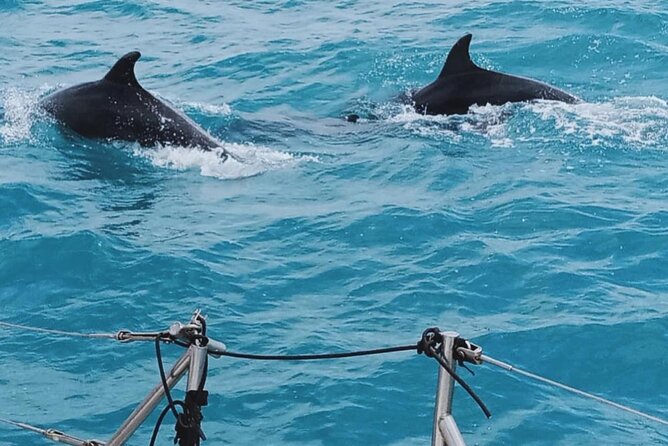 Full Day Sailing Tour Catania-Acitrezza - One hour in Acitrezza