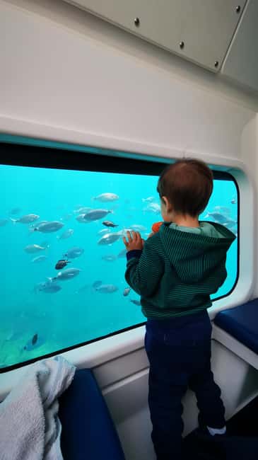 Giardini Naxos: Semi-Submarine Tour to Isola Bella - Guide quality and language