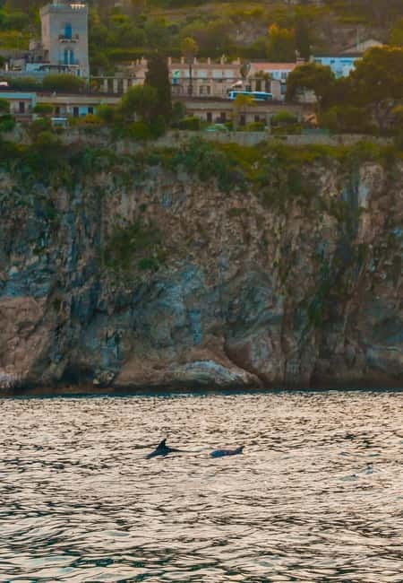 Giardini Naxos Taormina: Dolphin Watching Sunset Tour - Practical details that matter