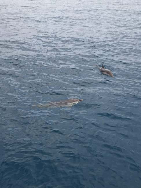 Giardini Naxos Taormina: Dolphin Watching Sunset Tour - Why this short cruise works so well