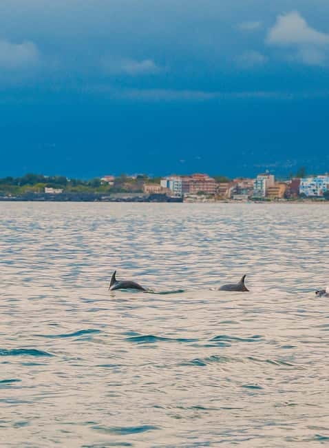 Giardini Naxos Taormina: Dolphin Watching Sunset Tour - Isola Bella from the water