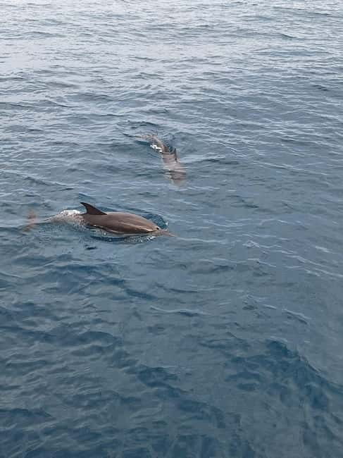 Giardini Naxos Taormina: Dolphin Watching Sunset Tour - Meeting the boat in Giardini Naxos