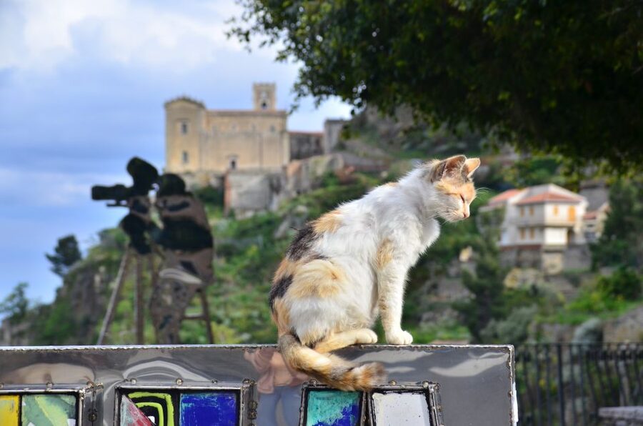 GODFATHER TOUR film's locations departure from Taormina area - Practical tips for a better afternoon